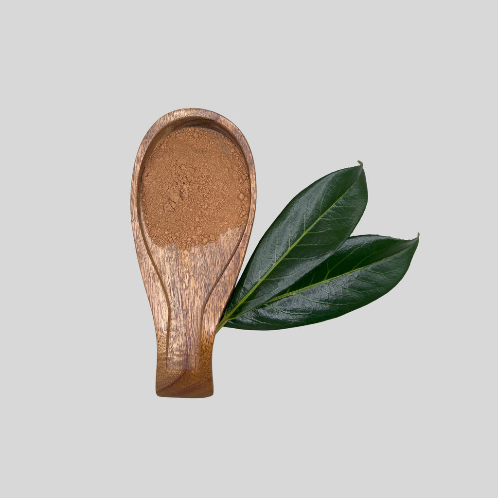 Organic REISHI Mushroom Powder image 1