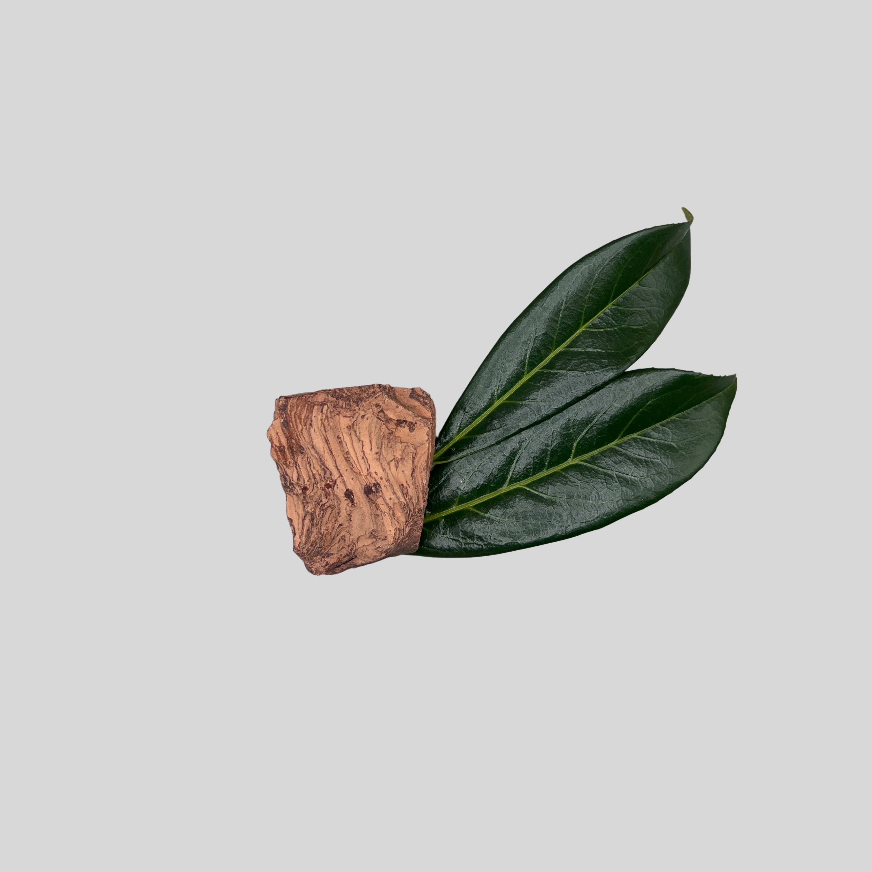 WELLNESS BUNDLE image 3